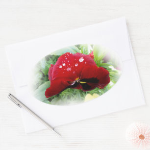 Adesivo Oval Bright Red Pansy
