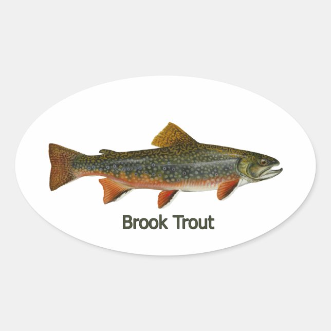 Adesivo Oval Brook Trout (com título) (Frente)