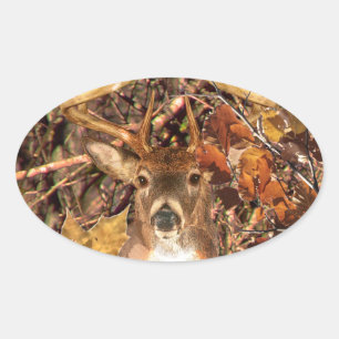 Adesivo Oval Buck in Camo White Tail Deer