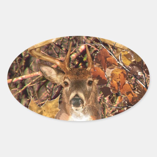 Adesivo Oval Buck in Camo White Tail Deer (Frente)