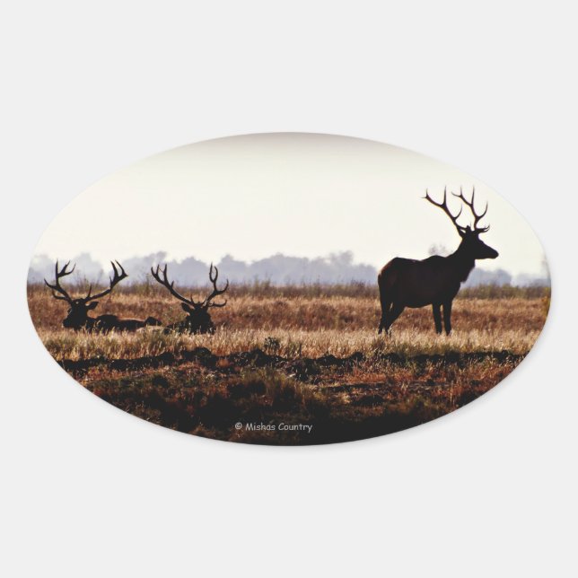 Adesivo Oval Bull Elk Silhouette (Frente)
