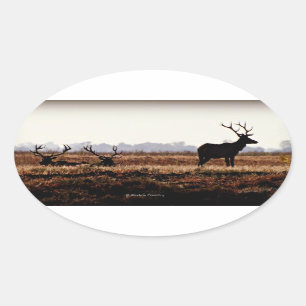 Adesivo Oval Bull Elk Silhouette