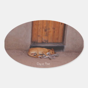 Adesivo Oval Cachorro no colete