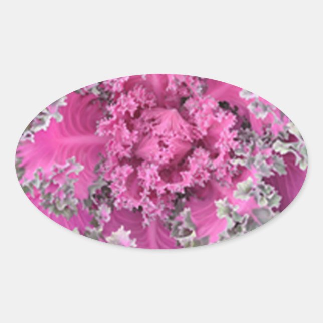 Adesivo Oval Cactus (Frente)