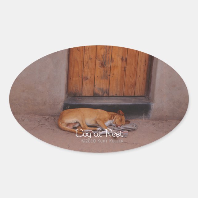 Adesivo Oval Cão no Resto (Frente)