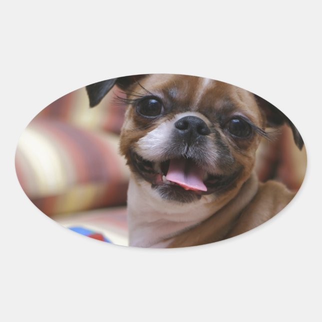 Adesivo Oval Cão super bonito com sua bola favorita (Frente)