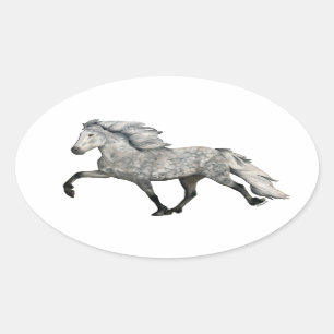 Adesivo Oval Carismático