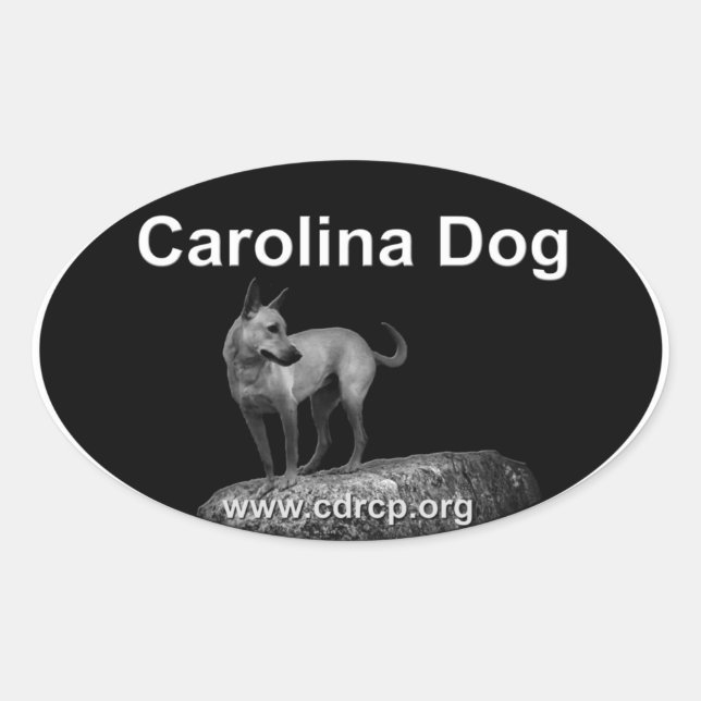 Adesivo Oval Carolina Dog Sticker (Frente)