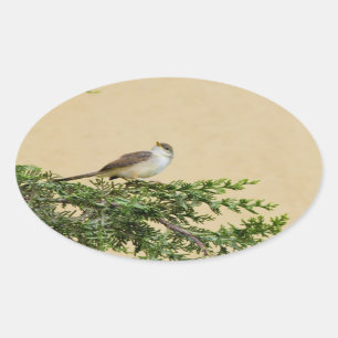 Adesivo Oval Cartão-postal Sparrow