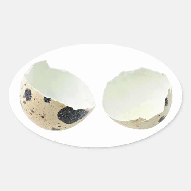 Adesivo Oval Casca de ovo quebrada (Frente)