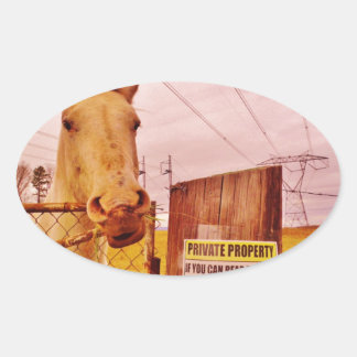 Adesivo Oval Cavalo de Propriedade Privada Rosa