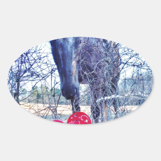 Adesivo Oval Cavalo e Coração (Frente)
