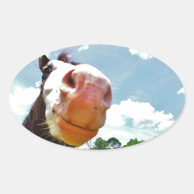 Adesivo Oval Cavalo Sorridente (Frente)