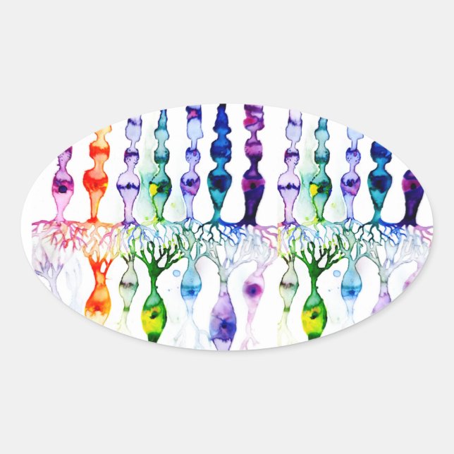 Adesivo Oval Células de cone e neurônios bipolares da retina (Frente)