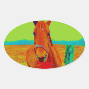 Adesivo Oval Céu verde, Cavalo arco vermelho : adicione nome