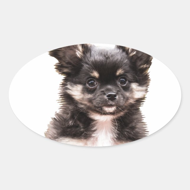 Adesivo Oval Chihuahua Puppy Dog (Frente)