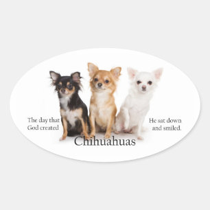Adesivo Oval Chihuahua Sticker
