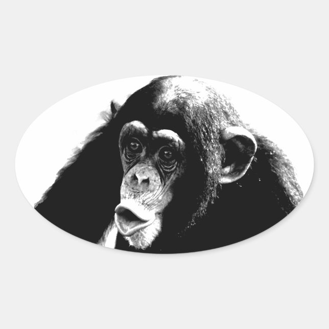 Adesivo Oval Chimpanzé Branco Preto (Frente)
