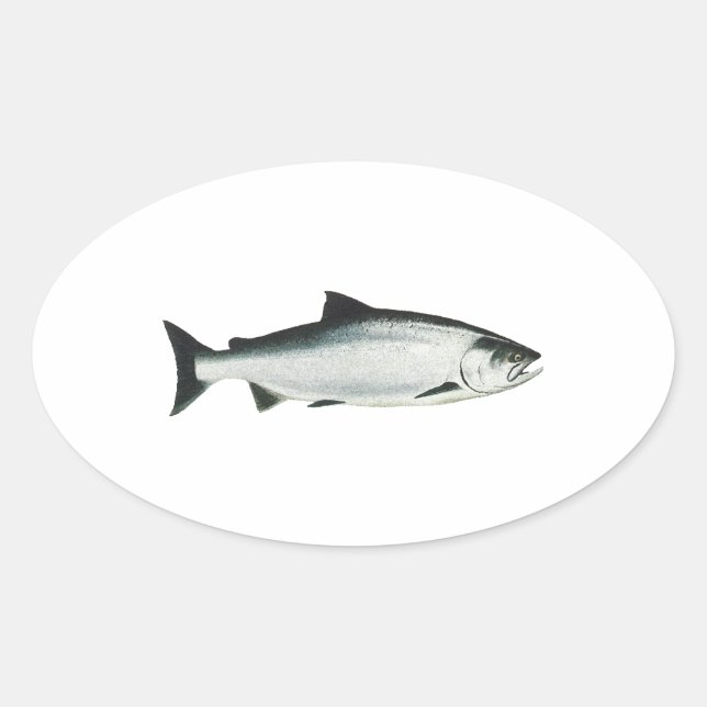 Adesivo Oval Chinook - King Salmon (Frente)
