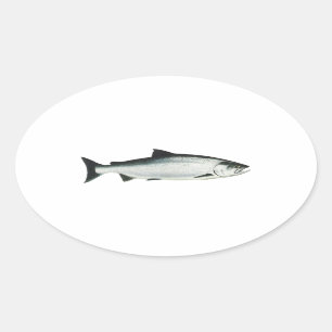 Adesivo Oval Chinook - King Salmon