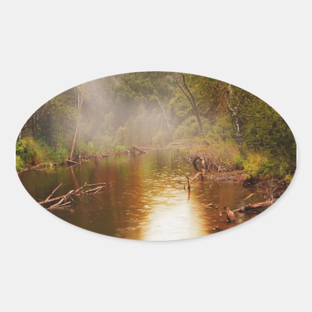 Adesivo Oval Chuva na Floresta (Frente)