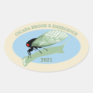 Adesivo Oval Cicada Brood X Emergência 2021