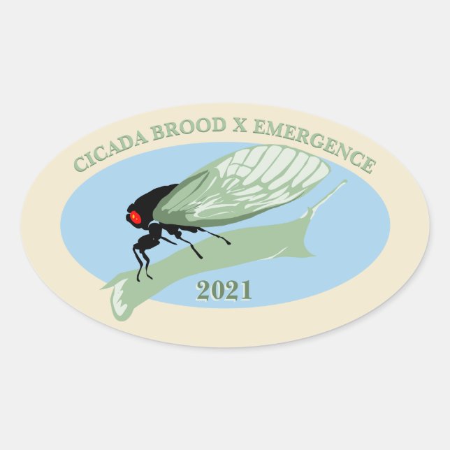 Adesivo Oval Cicada Brood X Emergência 2021 (Frente)