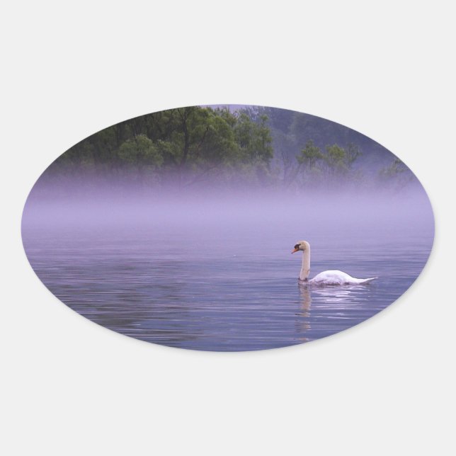 Adesivo Oval Cisne no lago (Frente)