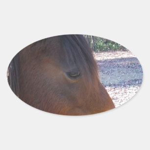 Adesivo Oval Close de cavalo marrom, pequeno pônei marrom