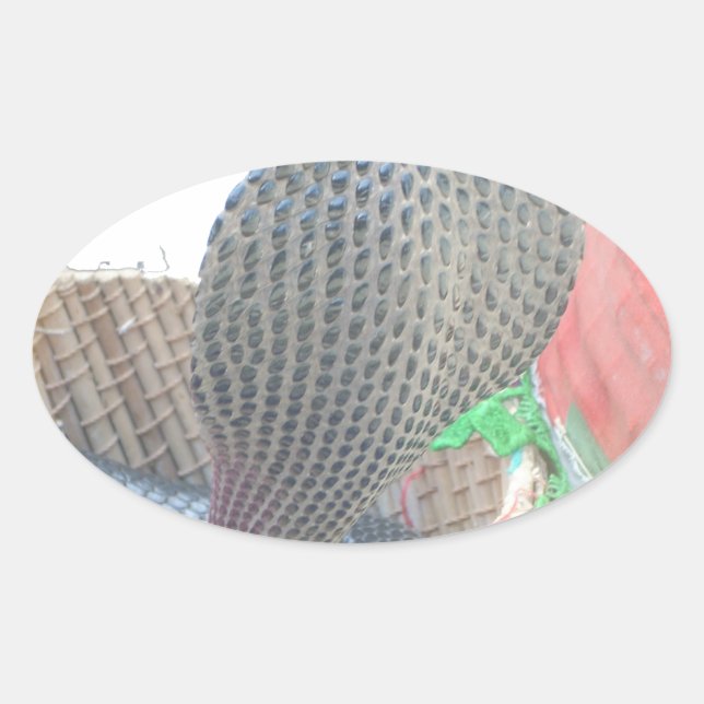 Adesivo Oval Cobra no Impressão de Arte de Cesto (Frente)