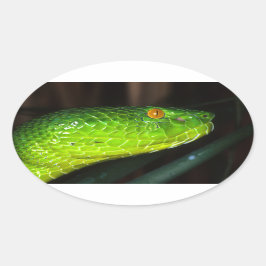 Adesivo Oval Cobra-víbora verde do Stejneger