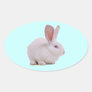 Adesivo Oval Coelhinho Bunny Kawaii Fofinho