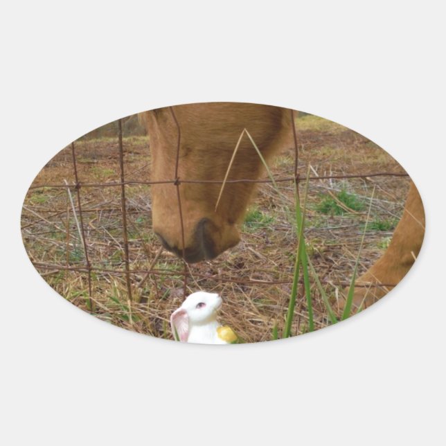 Adesivo Oval coelhinho de cavalo e Primavera (Frente)