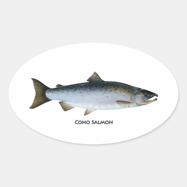 Adesivo Oval Coho Salmon (Frente)