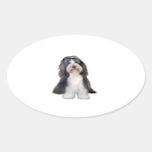 Adesivo Oval Collie (D) com barba - Chapa e branca