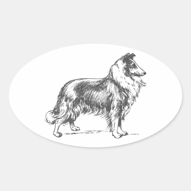 Adesivo Oval Collie Dog (Frente)