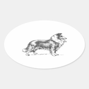 Adesivo Oval Collie Dog