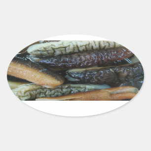 Adesivo Oval Comida do mercado de Yaowarat do pepino de mar…