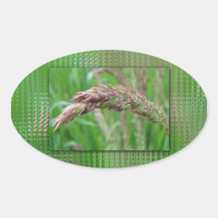 Adesivo Oval Como a grama cultiva palitos