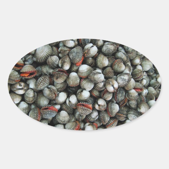 Adesivo Oval Conchas de Cockle de Sangue (Frente)