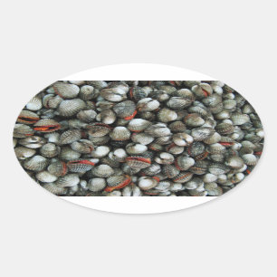 Adesivo Oval Conchas de Cockle de Sangue