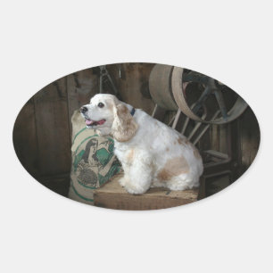 Adesivo Oval coquetel americano spaniel sentado