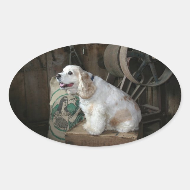 Adesivo Oval coquetel americano spaniel sentado (Frente)