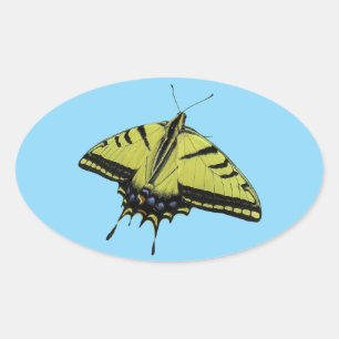 Adesivo Oval Cores da cauda da borboleta Swallowtail Western Ti