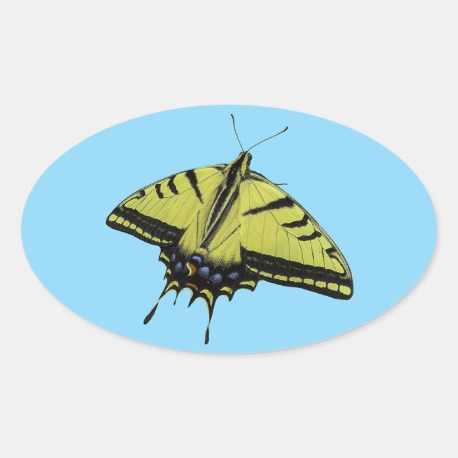 Adesivo Oval Cores da cauda da borboleta Swallowtail Western Ti (Frente)