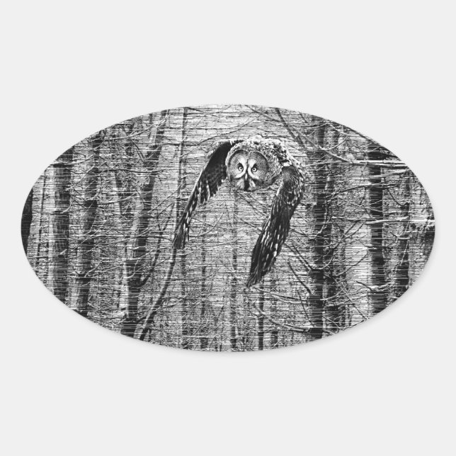 Adesivo Oval Coruja de Cinzas excelentes em autocolantes branco (Frente)