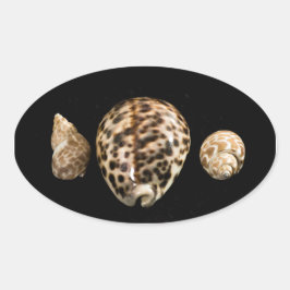 Adesivo Oval Cowrie Cones 2 Sticker