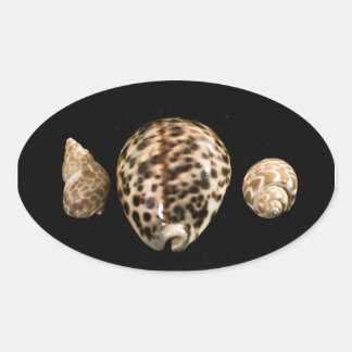 Adesivo Oval Cowrie Cones 2 Sticker