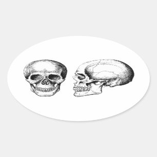 Adesivo Oval Crânios humanos cinzentos de frente