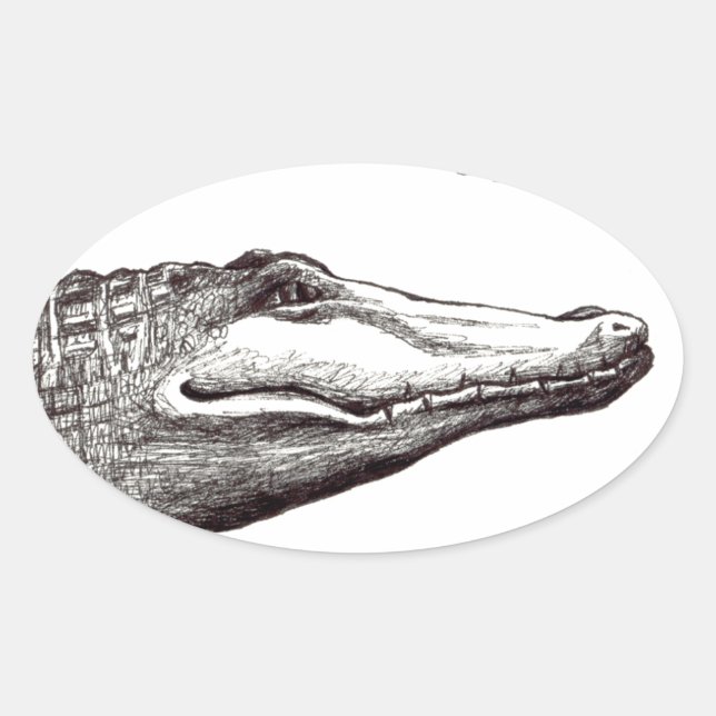 Adesivo Oval Crocodilo alligator libélula desenho de arte diver (Frente)